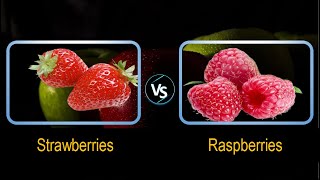 Strawberries vs Raspberries Comparison [upl. by Susann872]