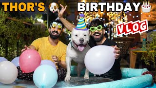 Thor🐶 Ka Birthday🎉 VLOG Pitbull Girlfriend FACE REVEAL👰‍♀️ Dogs bath Cute DogsIndian Vlogger [upl. by Kannry]