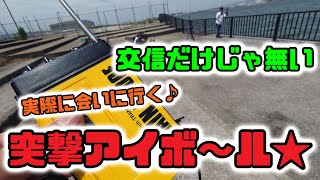 【無線日記番外編】楽しみは交信だけじゃ無い♪ 突撃アイボール～★ 2024年7月20日 [upl. by Neall142]