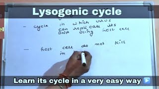 Lysogenic cycle in hindi ll biology ll [upl. by Lathe]