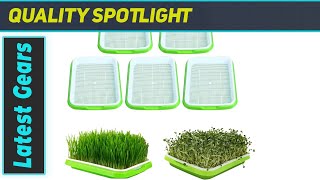 Seed Sprouter Tray The Best EcoFriendly Seed Germination Solution [upl. by Aniar891]