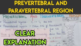 Prevertebral and para vertebral regions [upl. by Llebanna]