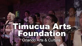 Orlando Arts amp Culture Timucua Arts Foundation  Visit Orlando [upl. by Kobe]