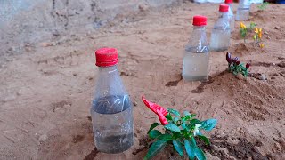 Como Hacer RIEGO POR GOTEO con botellas de plástico reciclado [upl. by Adihsaar287]