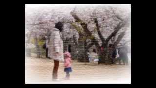 Cherry Blossom amp Cherry Princess N ♪ original  561022K 【HD】 [upl. by Samira986]