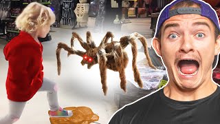 Giant Spider Vs Little Girl Halloween Moments [upl. by Dewar]