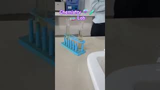 Chemistry ⚗️🧪 Lab 🧫 Prectical Lead Glass  college time 😎viralvideo vlog hirdesh [upl. by Neyr]