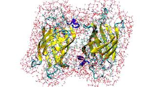 MD simulation of Proteinligand complex with deep learning potential ANI1x [upl. by Nnayt]