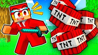 MINECRAFT But Its STREAMER VS VIEWER TNT GAME [upl. by Enoed]