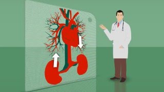 Definição Epidemiologia e Diagnóstico da DRC [upl. by Afnin]