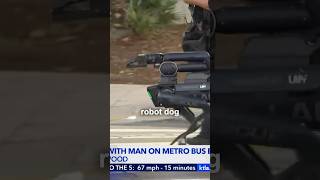 LAPD Robot Dog VS Bus Standoff Situation KTLA5 [upl. by Selfridge860]