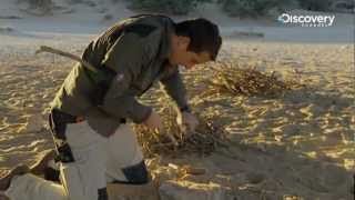 How To Stay Alive  Bear Grylls Special [upl. by Finnegan]