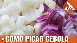 Picando cebola [upl. by Eirojram]