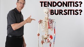 What is Causing Your Shoulder Pain Tendonitis Bursitis How to Know [upl. by Nyvets385]