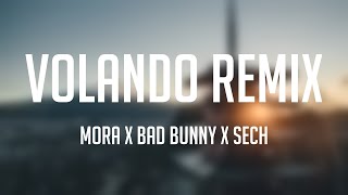 Volando Remix  Mora x Bad Bunny x Sech Letra 💗 [upl. by Nuawtna]