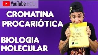 AULA 1 Cromatina Procariótica  Biologia Molecular [upl. by Dixie715]