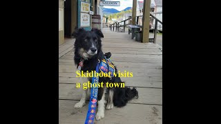 My service dog visited a ghost town  and was attacked by a cat [upl. by Amsden]