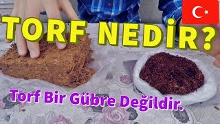 TORF NEDİR  TORF TOPRAK NASIL YAPILIR  YERLİ VE İTHAL [upl. by Hume]