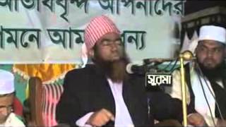 Maulana Jubaer Ahmed Ansari Bangla waz 2014 [upl. by Shelbi908]