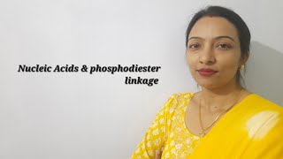 phosphodiester linkage [upl. by Ahsiuq]