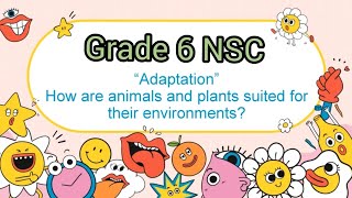 Adaptation of Animals and Plants Grade 6 NSC [upl. by Stucker]