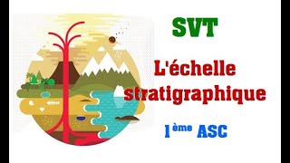 1ère ASC  SVT Léchelle stratigraphique [upl. by Hafeetal]