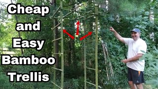 Easy DIY Bamboo Trellis  for Climbing Plants [upl. by Norod]