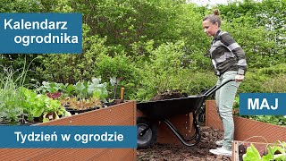 Maj w ogrodzie Kalendarz ogrodnika na 1705  2305 Prace ogrodnicze w maju [upl. by Tor717]