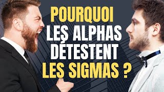 Pourquoi les mâles alpha DÉTESTENT autant les mâles sigma [upl. by Nellac]