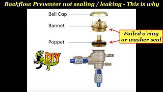 Backflow Preventer leaking not sealing  THIS IS WHY [upl. by Goodkin]