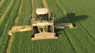 Neighbor mowing wheatlage with Krone Big M mower [upl. by Waller]