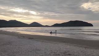 Praia preferida dos turistas que visitam Ubatuba SP [upl. by Amehsat486]