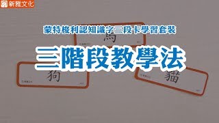 《蒙特梭利認知識字三段卡學習套裝》三階段教學法 示範 [upl. by Ahsal35]