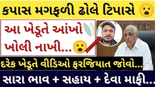 કપાસ મગફળી ઢોલે ટીપાસે 😮 ભાવ અંગે સર્ચા  2 મિનિટ કાઢી જરૂર જોજો  kapas na bhav  khedut sahay [upl. by Solracsiul]