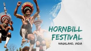 Viral danceHornbill FestivalCulture of Nagaland Kohima Naga Tribe [upl. by Divaj877]