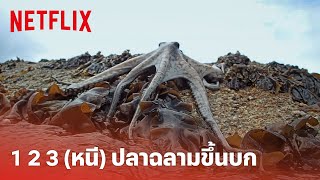 My Octopus Teacher Highlight  น้องหมึก VS คุณฉลาม ว่องไวอะไรขนาดนี้แม่สาวน้อย  Netflix [upl. by Annovahs]