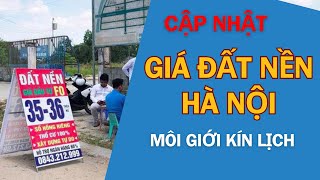 Cập nhật giá đất nền toàn Hà Nội cuối năm 2024 môi giới kín lịch cả ngày đêm [upl. by Idnil]