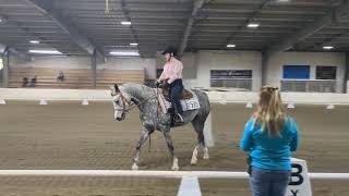 Western Dressage Intro Test 4  Ghost Whisperer  690 [upl. by Edahs]