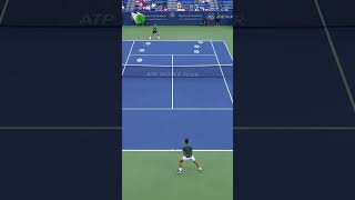 DJOKOVIC VS DRIMITOV GUESS THE Shot atp djokovic tennis [upl. by Cull773]