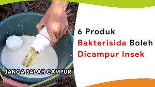 6 Bakterisida yang Boleh Dicampur Fungisida dan Insektisida Lain [upl. by Kirsti]