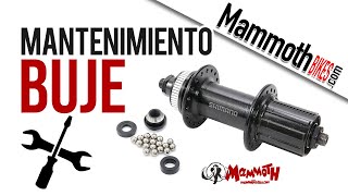 Cómo hacer el mantenimiento y ajuste de un Buje básico de Bicicleta [upl. by Reeva161]