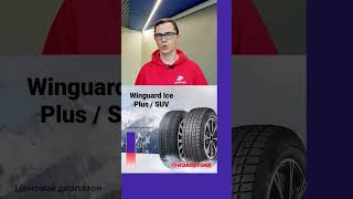 Roadstone Winguard Ice Plus  SUV шиномонтаж шины авто [upl. by Llerdnek]