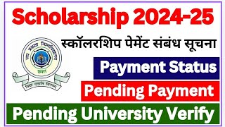 Scholarship 202425  Jp University scholarship 2024  scholarship matric  Intermediate [upl. by Genisia]