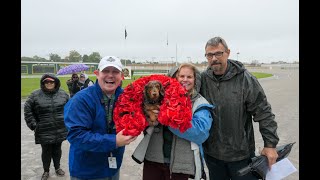 2024 Wiener Dog Races [upl. by Kenn]