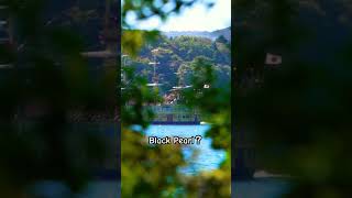 I found a pirate ship in Hakone Japanjapan travel Pirates of the Caribbean [upl. by Matti]