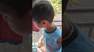 Panchi Nadiya Pawan Ke Jhonkeshortsviral cutebaby [upl. by Odraode703]