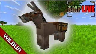 SMPLive Getting Back at AntVenom [upl. by Lleznov]