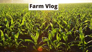 Village Farm  Farm Life  Namibian Youtuber [upl. by Dex246]