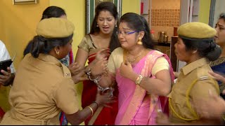 Priyamanaval Episode 287 311215 [upl. by Hudson]