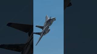 F14 Tomcat flyby shorts topgun aviation dcs [upl. by Amek]